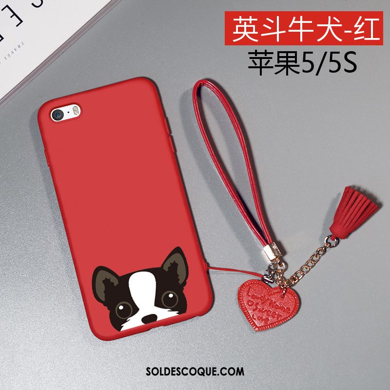 Coque iPhone 5 / 5s Étui Silicone Incassable Protection Tendance France