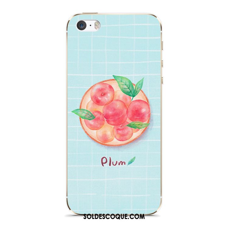 Coque iPhone 5c Bleu Rose Étui Silicone Frais Housse Pas Cher