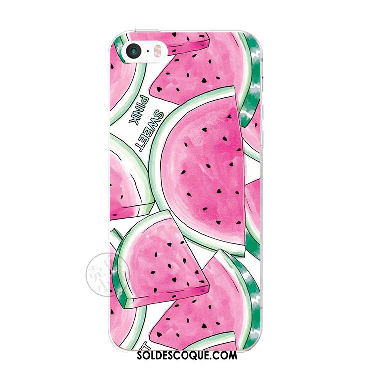 Coque iPhone 5c Pastèque Fluide Doux Frais Téléphone Portable Petit France