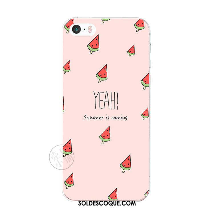 Coque iPhone 5c Pastèque Fluide Doux Frais Téléphone Portable Petit France