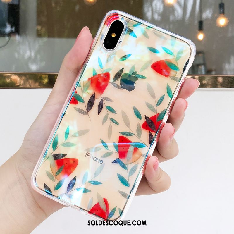 Coque iPhone Xs Étui Incassable Transparent Net Rouge Vert Pas Cher