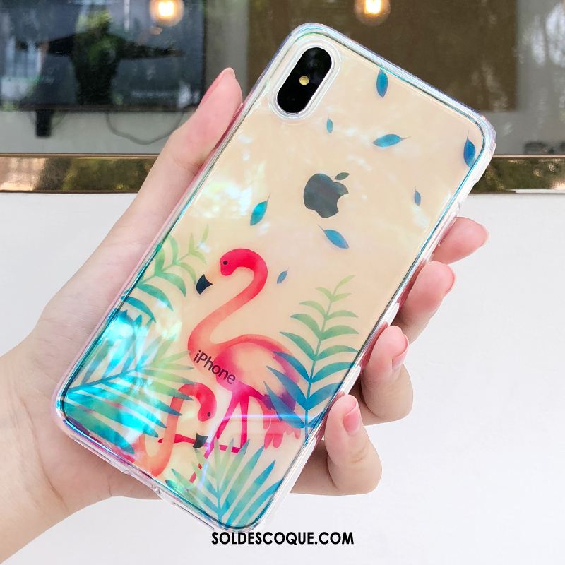 Coque iPhone Xs Étui Incassable Transparent Net Rouge Vert Pas Cher