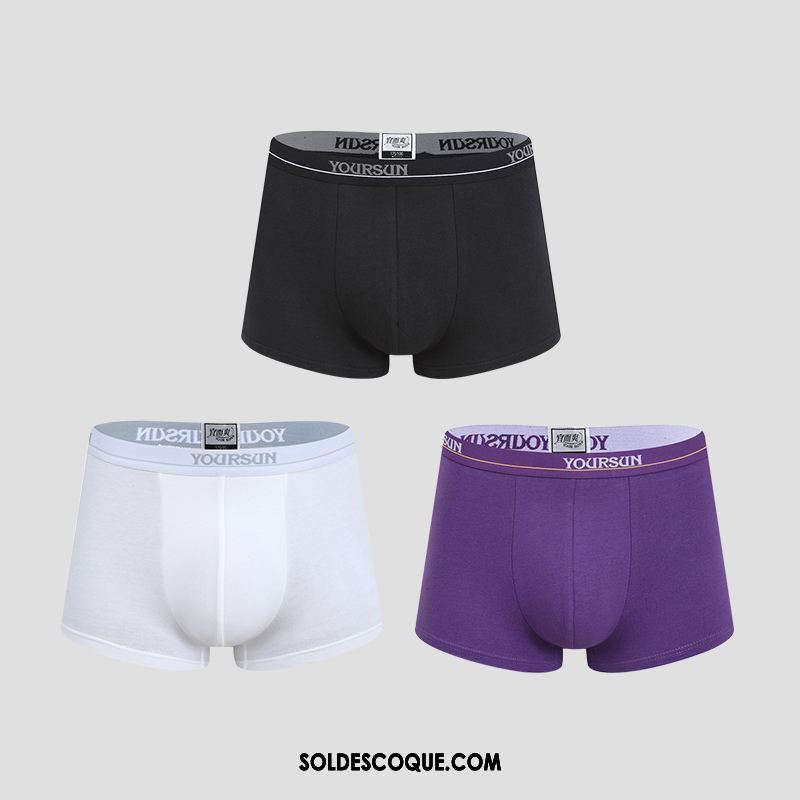 Shorty Homme Respirant Pure Couleur Simple Coton Élasticité Soldes