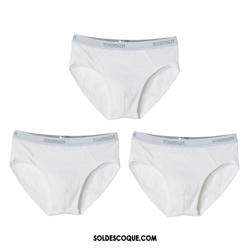 Shorty Homme Respirant Pure Couleur Simple Coton Élasticité Soldes