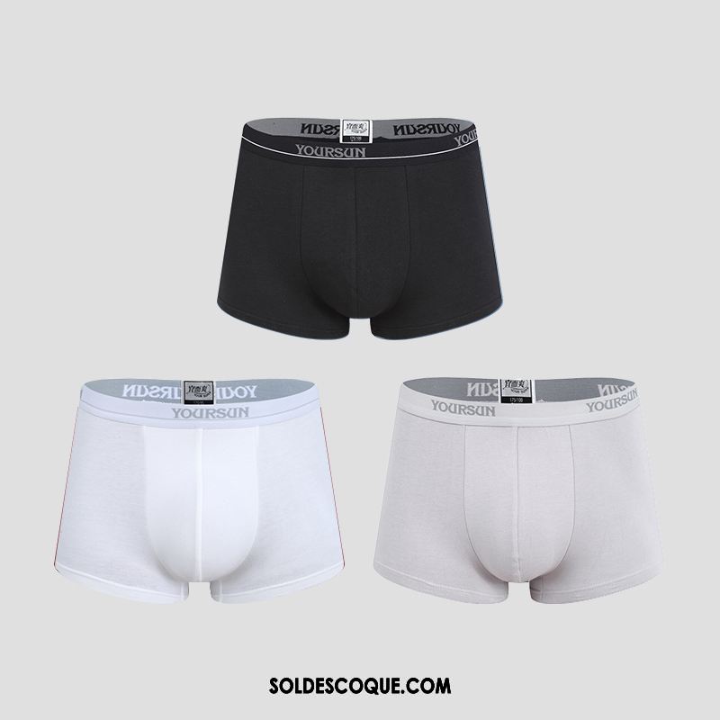 Shorty Homme Respirant Pure Couleur Simple Coton Élasticité Soldes