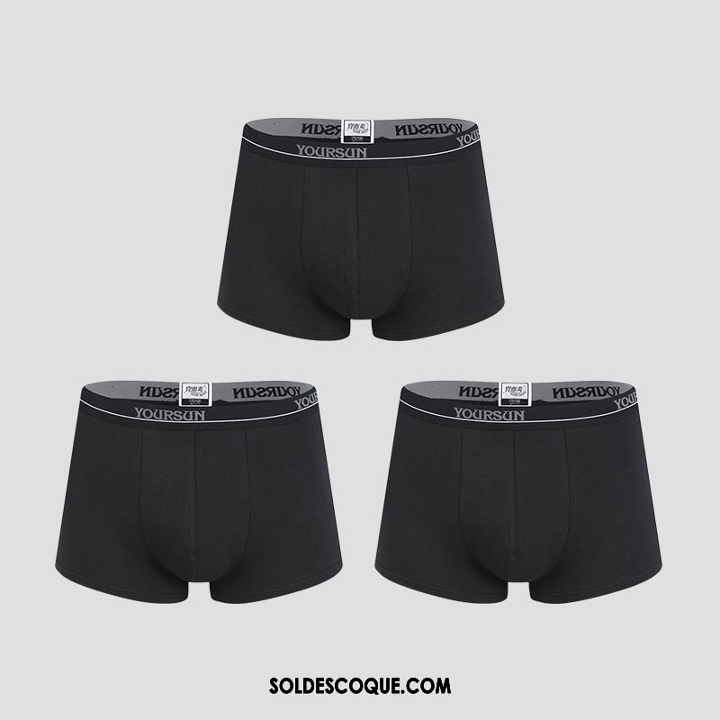 Shorty Homme Respirant Pure Couleur Simple Coton Élasticité Soldes