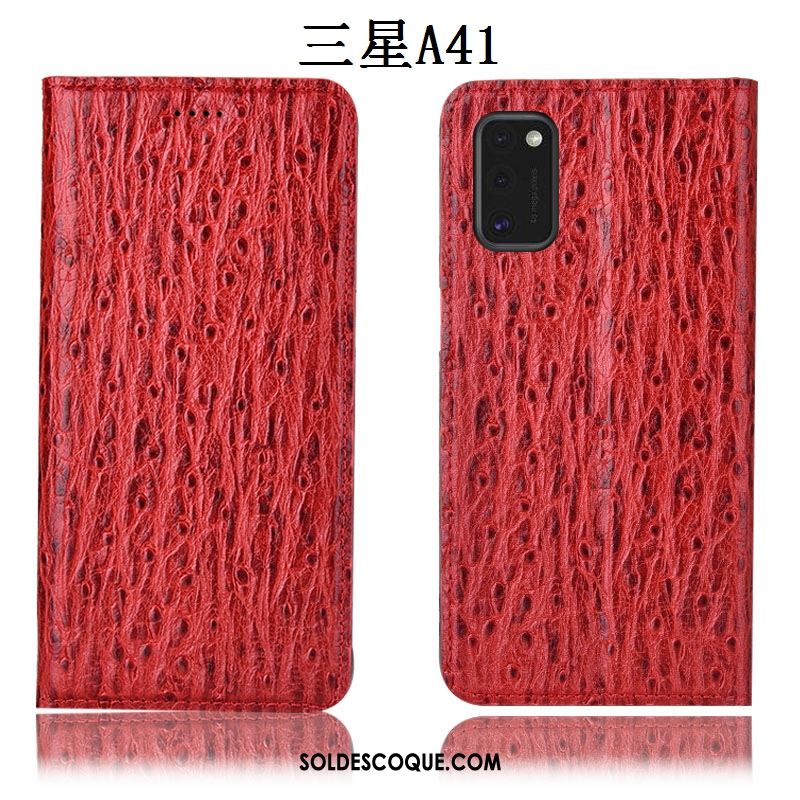 Coque Samsung Galaxy A41 Étui En Cuir Oiseau Protection Incassable Étoile Housse En Ligne