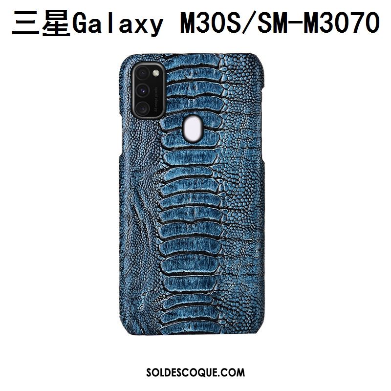 Coque Samsung Galaxy M30s Personnalisé Protection Incassable Oiseau Cuir Véritable En Vente