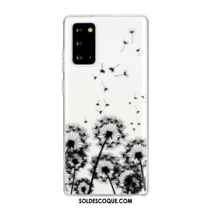 Coque Samsung Galaxy Note 20 Transparente Pissenlits Noirs