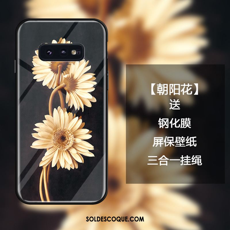 Coque Samsung Galaxy S10e Noir Luxe Simple Protection Étoile Pas Cher