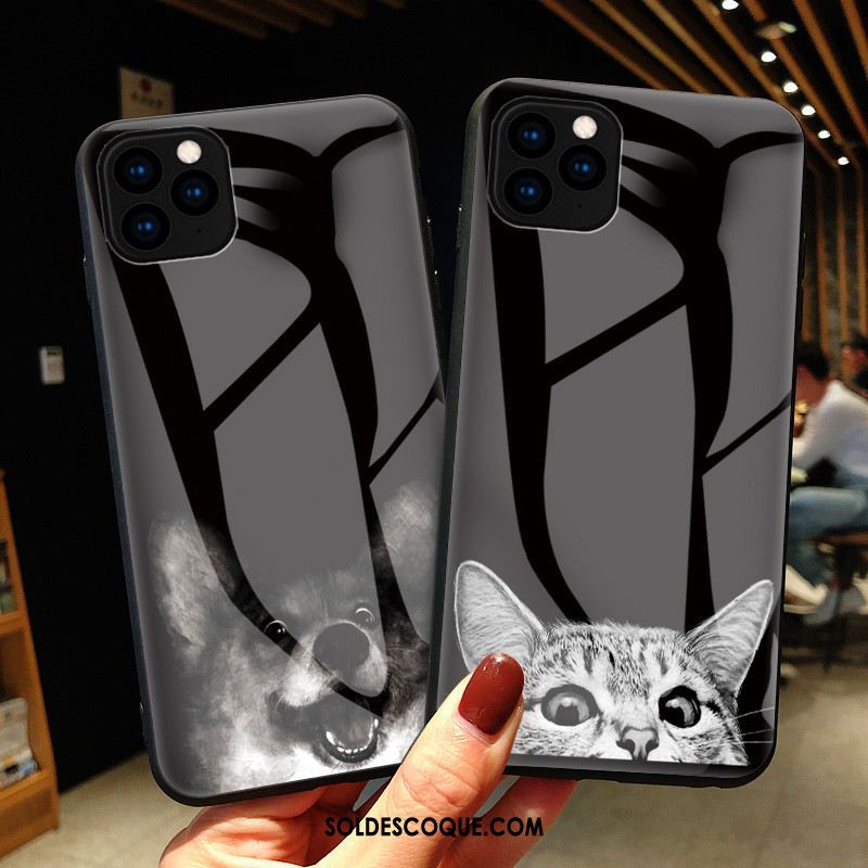 Coque iPhone 11 Pro Tout Compris Chat Protection Verre Incassable France