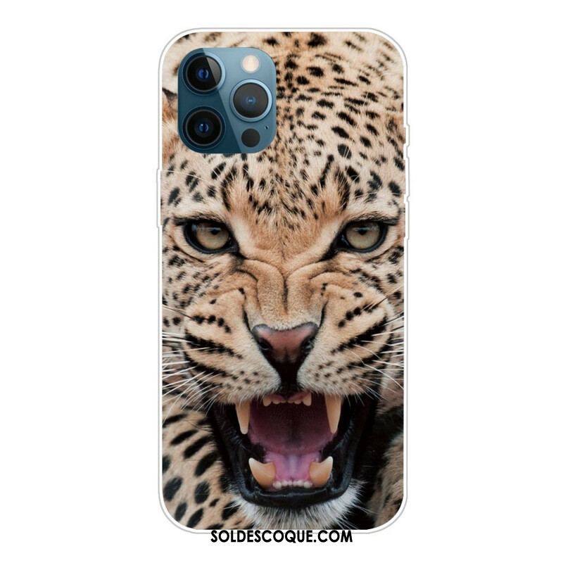 Coque iPhone 13 Pro Fabuleux Félin