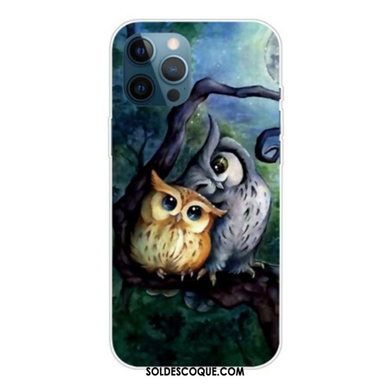 Coque iPhone 13 Pro Max Peinture Hiboux