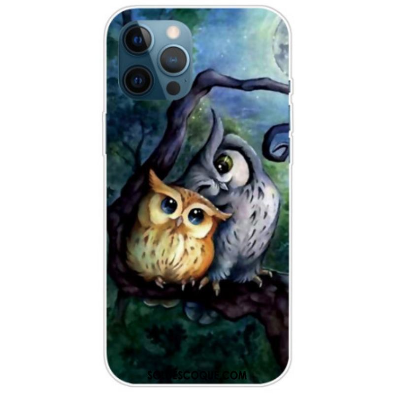 Coque iPhone 14 Pro Max Peinture Hiboux