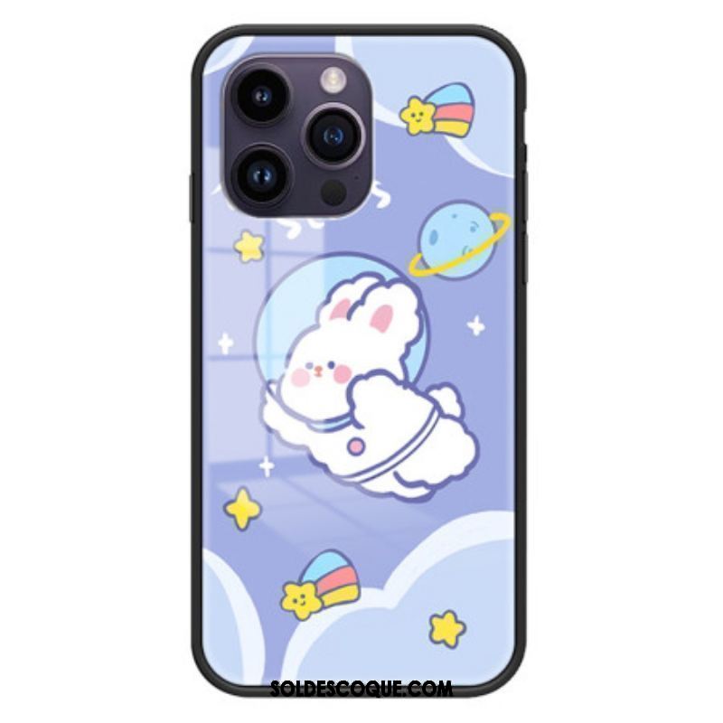 Coque iPhone 15 Pro Max Verre Trempé Aerospace Rabbit