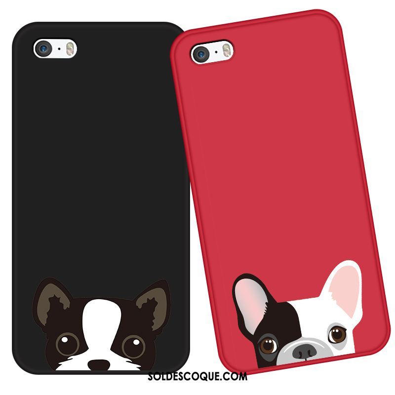 Coque iPhone 5 / 5s Étui Silicone Incassable Protection Tendance France