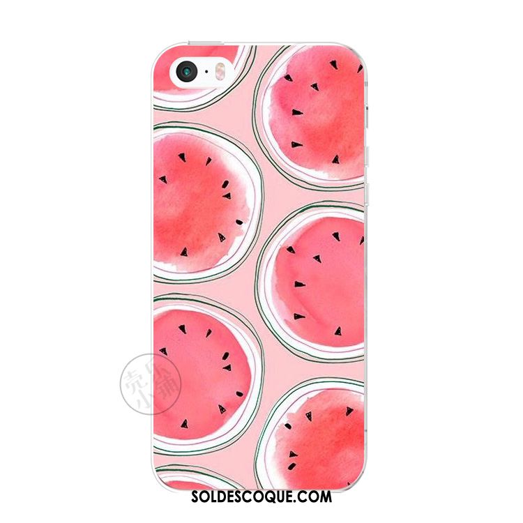 Coque iPhone 5c Pastèque Fluide Doux Frais Téléphone Portable Petit France