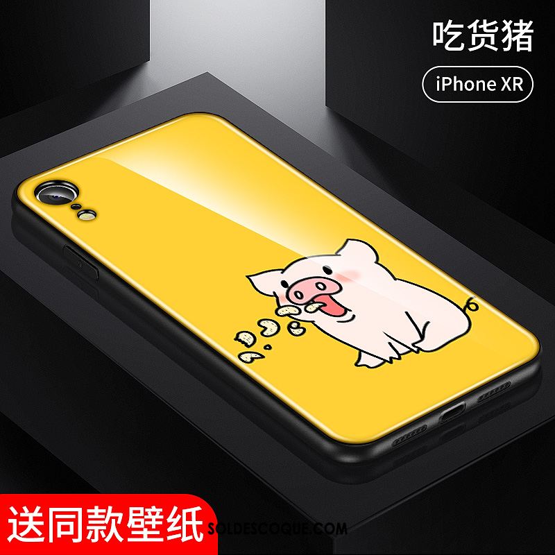 Coque iPhone Xr Amoureux Créatif Tout Compris Mignonne Protection Soldes