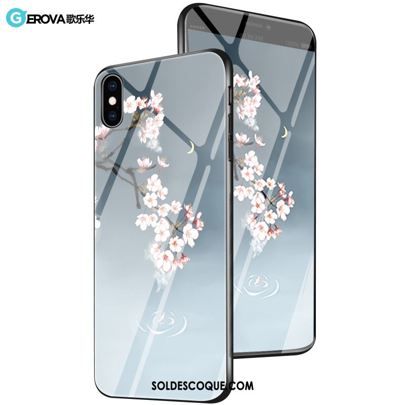 Coque iPhone Xs Max Téléphone Portable Personnalité Tout Compris Verre Silicone France