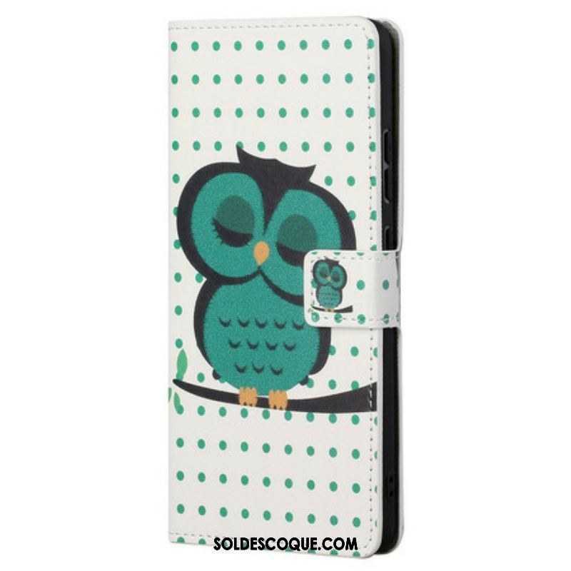 Housse OnePlus Nord CE 5G Hibou Endormi