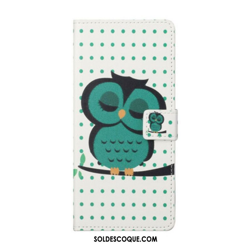 Housse Samsung Galaxy S21 5G Hibou Endormi