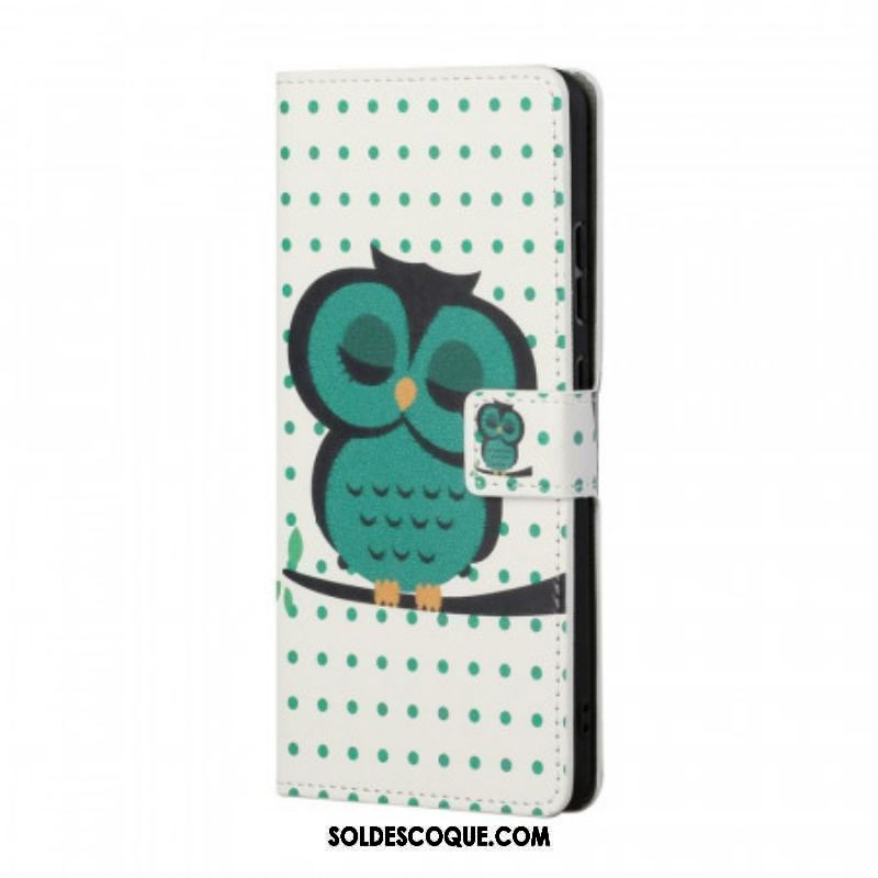 Housse Samsung Galaxy S22 Plus 5G Hibou Endormi