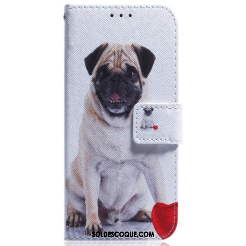 Housse iPhone 15 Pug Dog